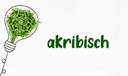 Akribisch-01