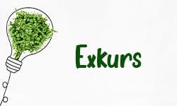 Exkurs-01