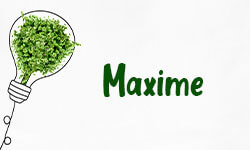 Maxime-01