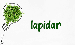 Lapidar-001