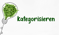 Kategorisieren-001