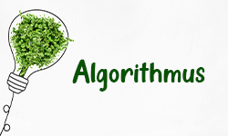 Algorithmus-001