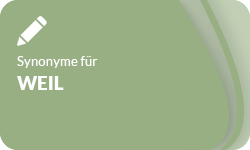 Weil-Synonyme-01